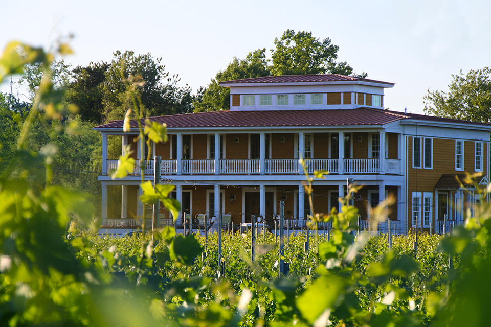 Morning Trip to Willow Creek Winery Cape May Picture of the Day