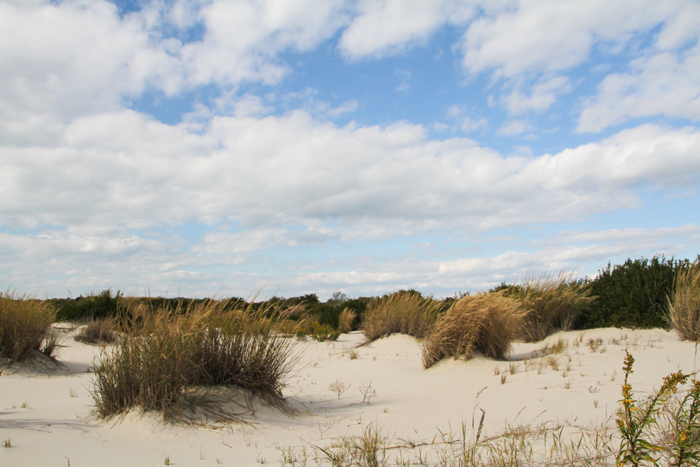 Dunes