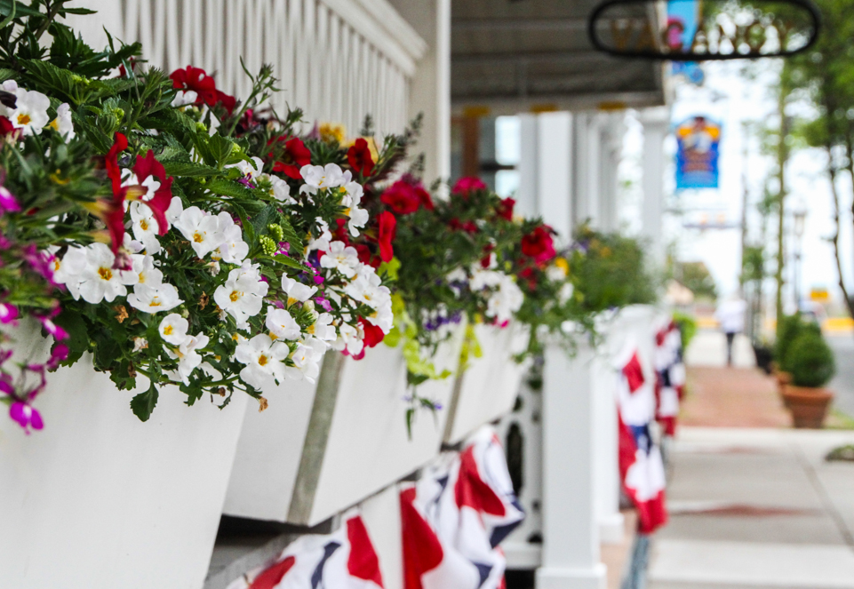 Flowers down Jackson Street