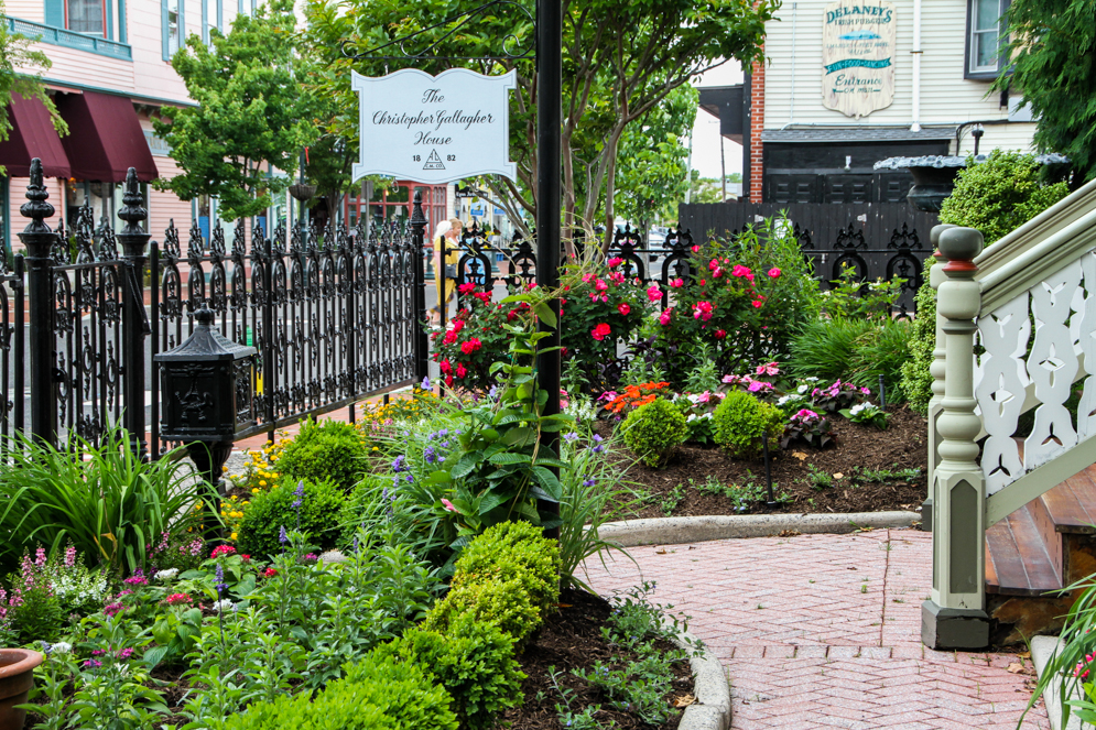 Garden at the Christopher Gallagher House