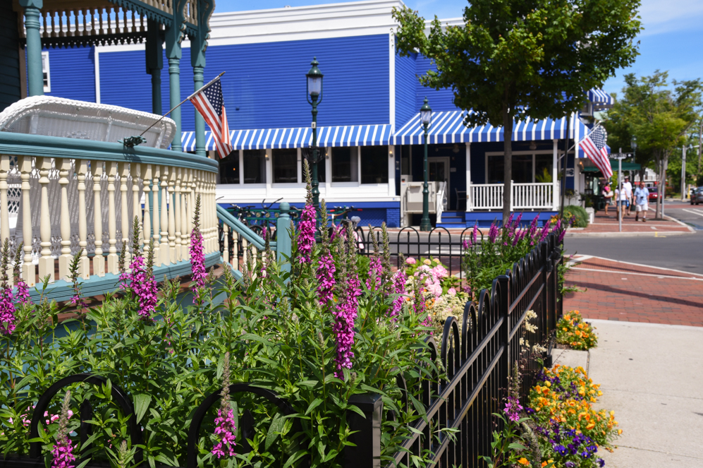 A garden on Decatur Street Cape May Picture of the Day