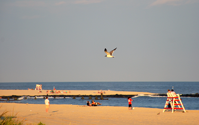 Twilight flight