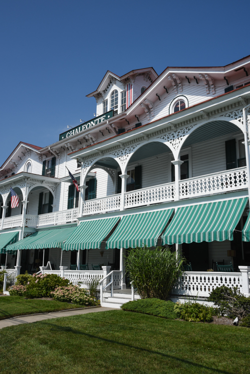 The Chalfonte Cape May Picture of the Day