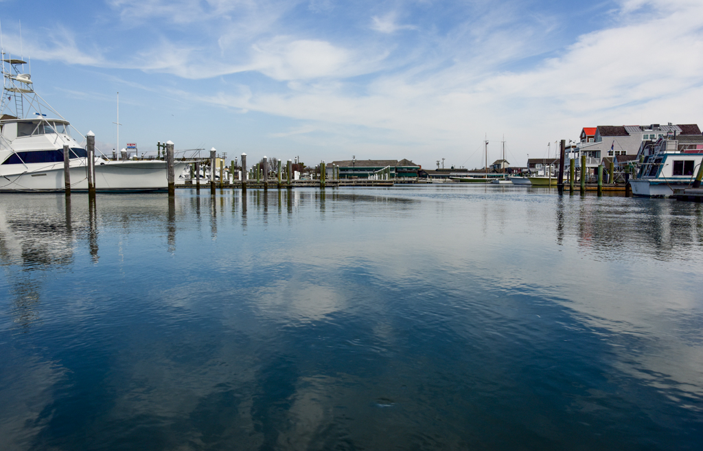 South Jersey Marina Cape May Picture of the Day