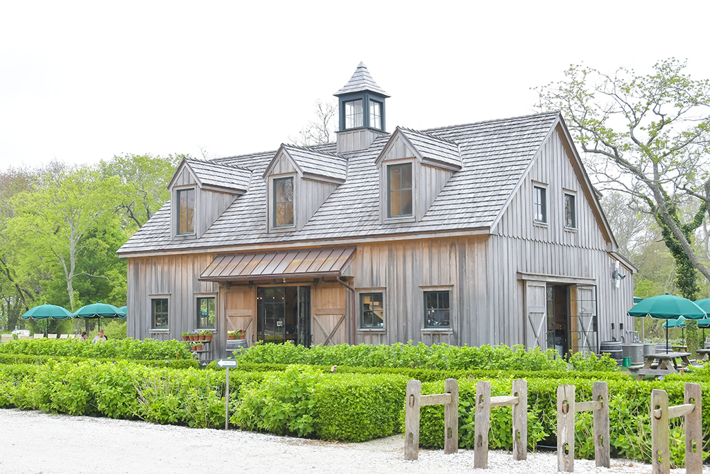 Spring Green at Beach Plum Farm Cape May Picture of the Day