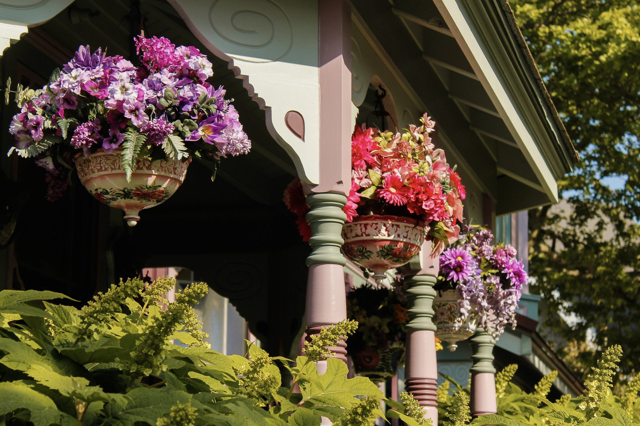 Spring is in Full Bloom Cape May Picture of the Day