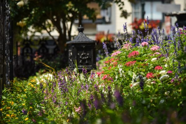 One of many gardens of Cape May