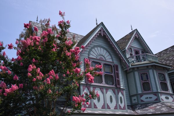 Looking up at the Empress