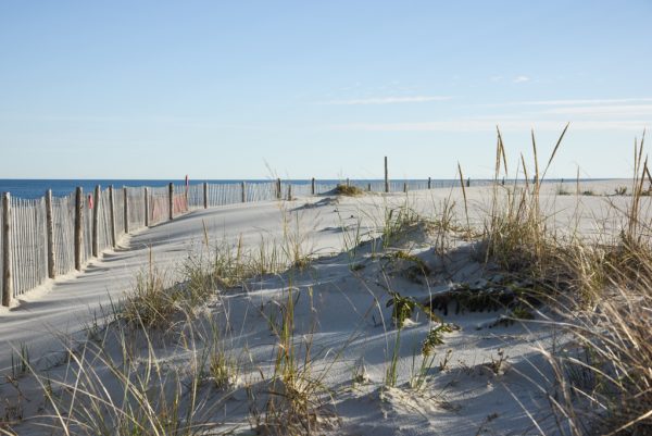 Dunes at Poverty Beach