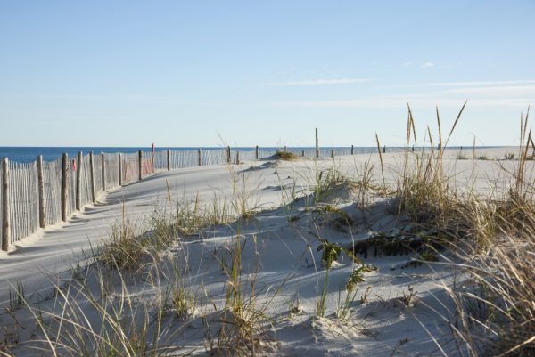 Dunes at Poverty Beach