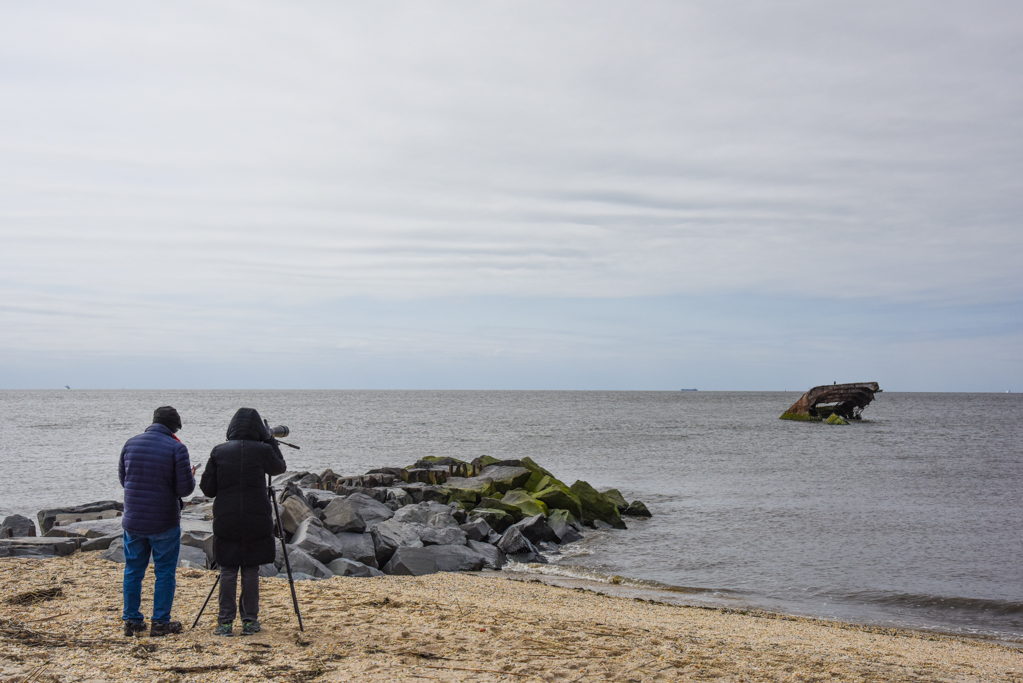 Birders Birding