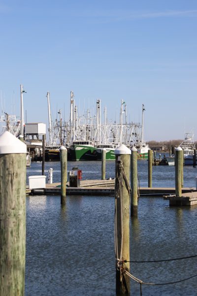 Sitting on the Dock