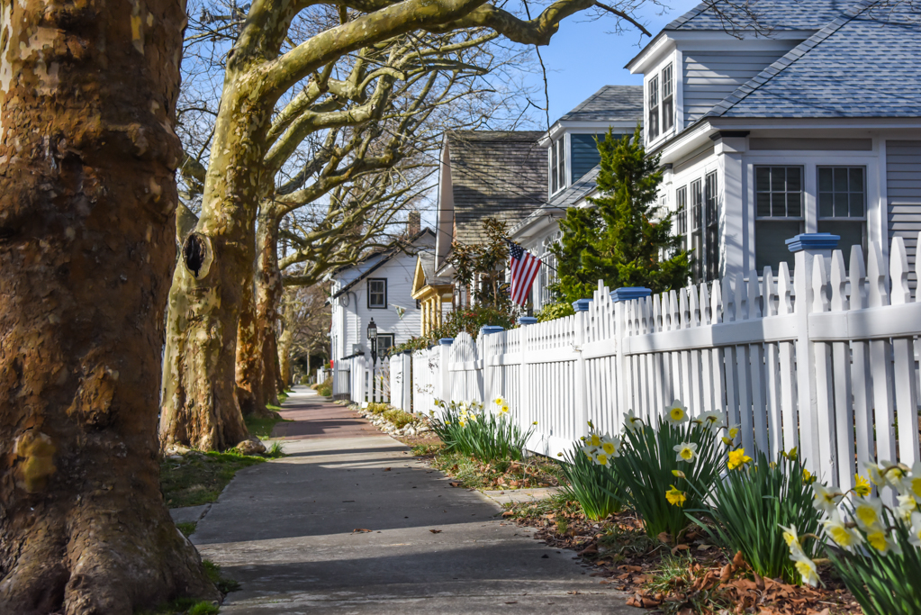 Spring Morning Walk 