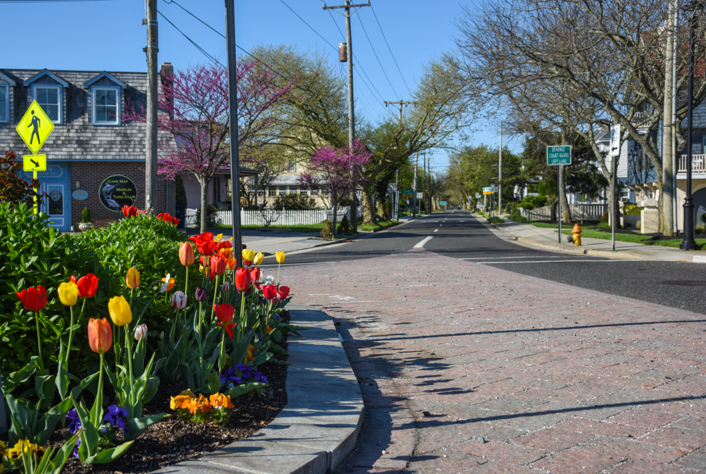 Welcome to Cape May