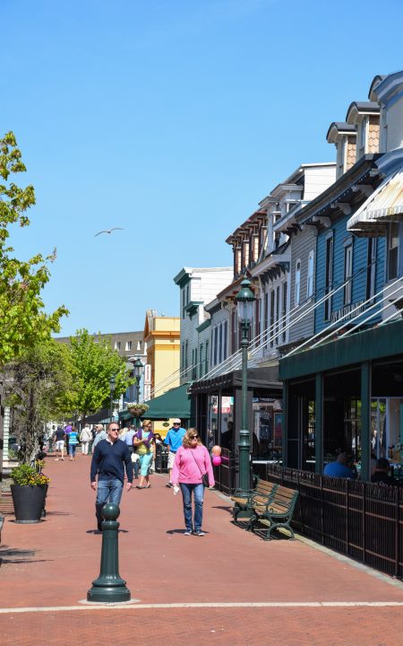 Shopping, Socializing, and a Seagull