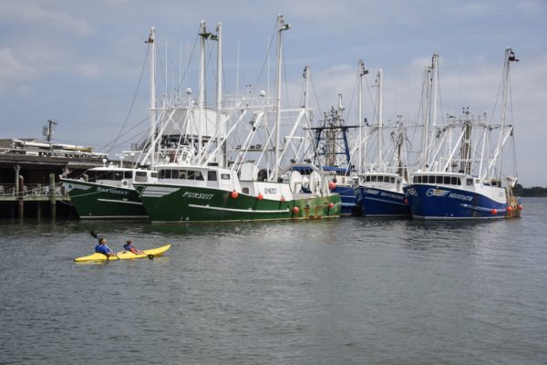 Day tripping on the harbor