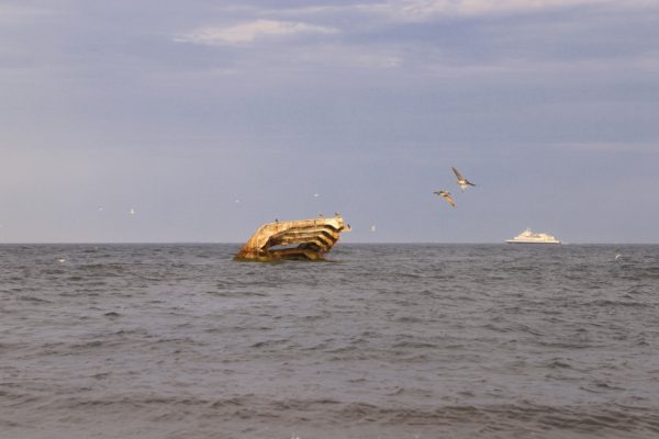 Pelicans Flying at Sunset Beach