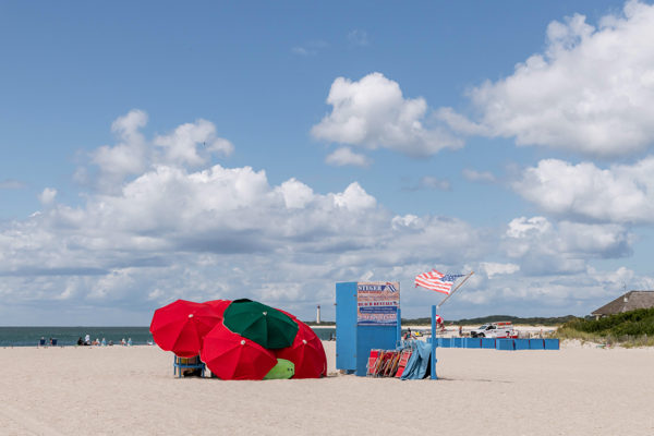 Windswept Beach