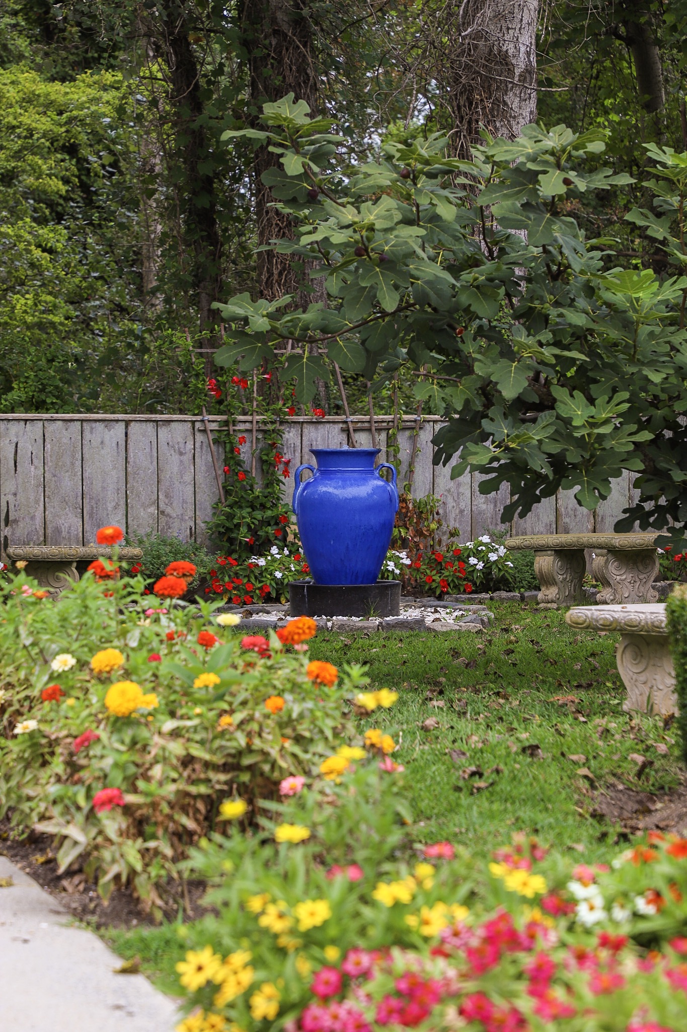 Carriage House Gardens Cape May Picture of the Day