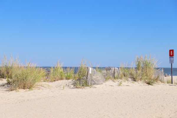 Walking to the Ocean