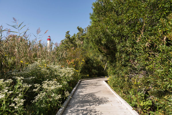 On the Nature Trails