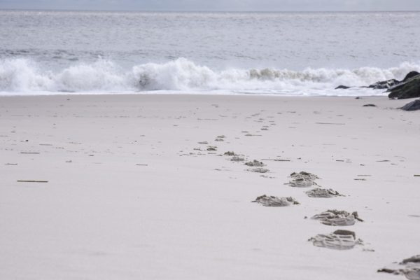 October Footprints