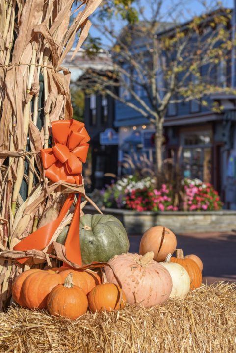 Pumpkins on the mall