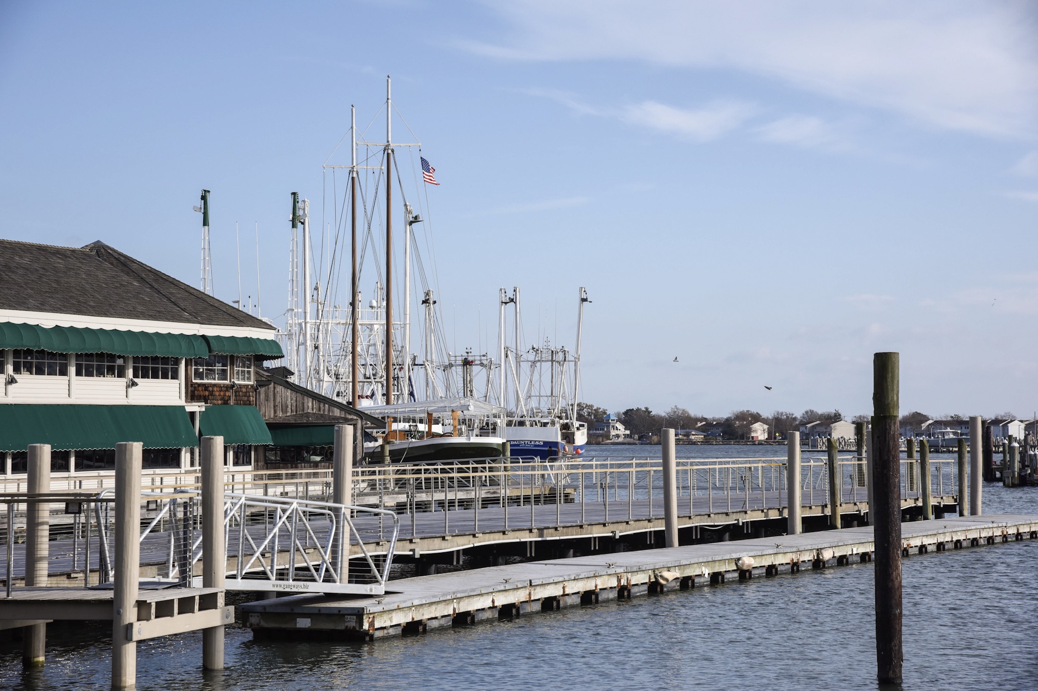 Dockside Cape May Picture of the Day