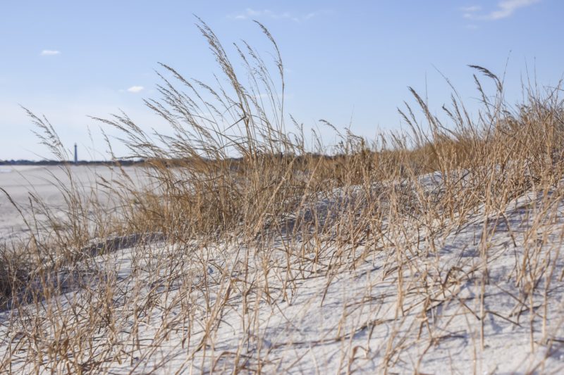 Dunes by The Cove