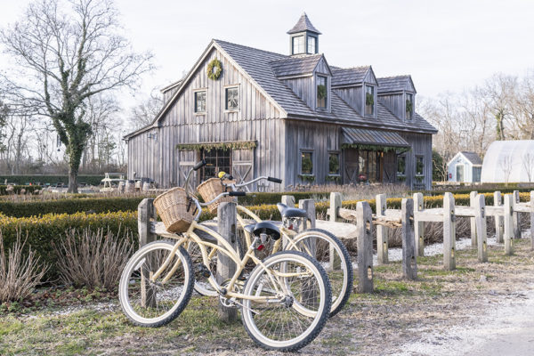 Holiday Rides to the Farm