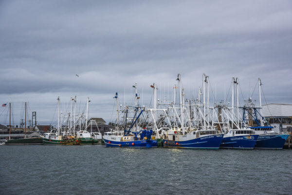 Cape May Harbor