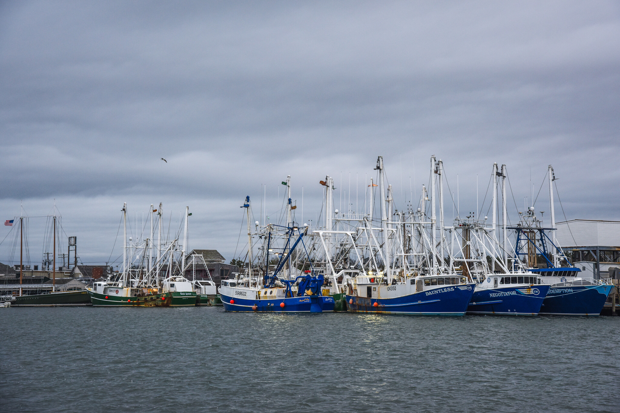 Cape May Harbor Cape May Picture of the Day