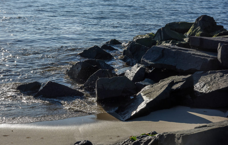 Along the Jetty