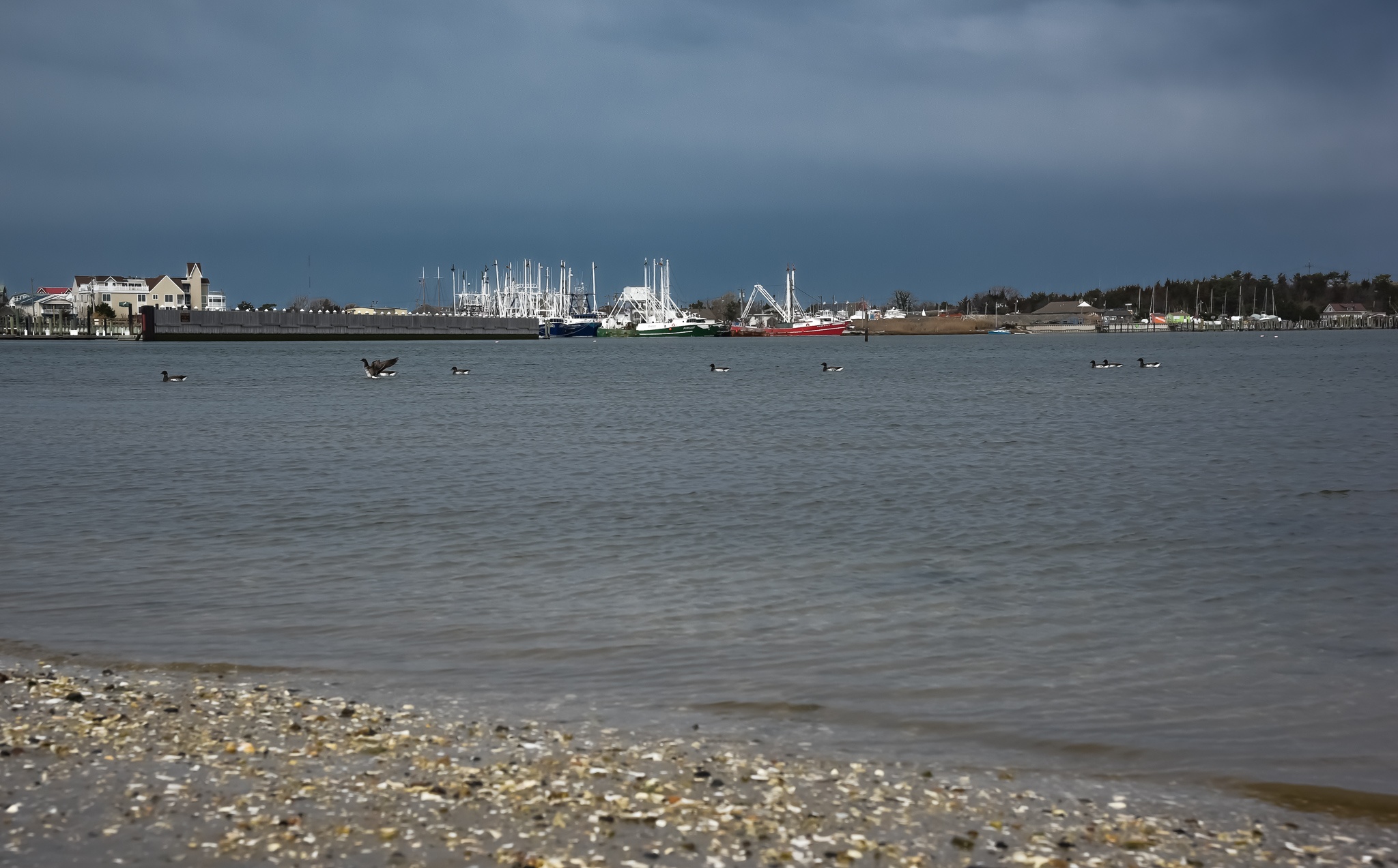 Cape May Harbor