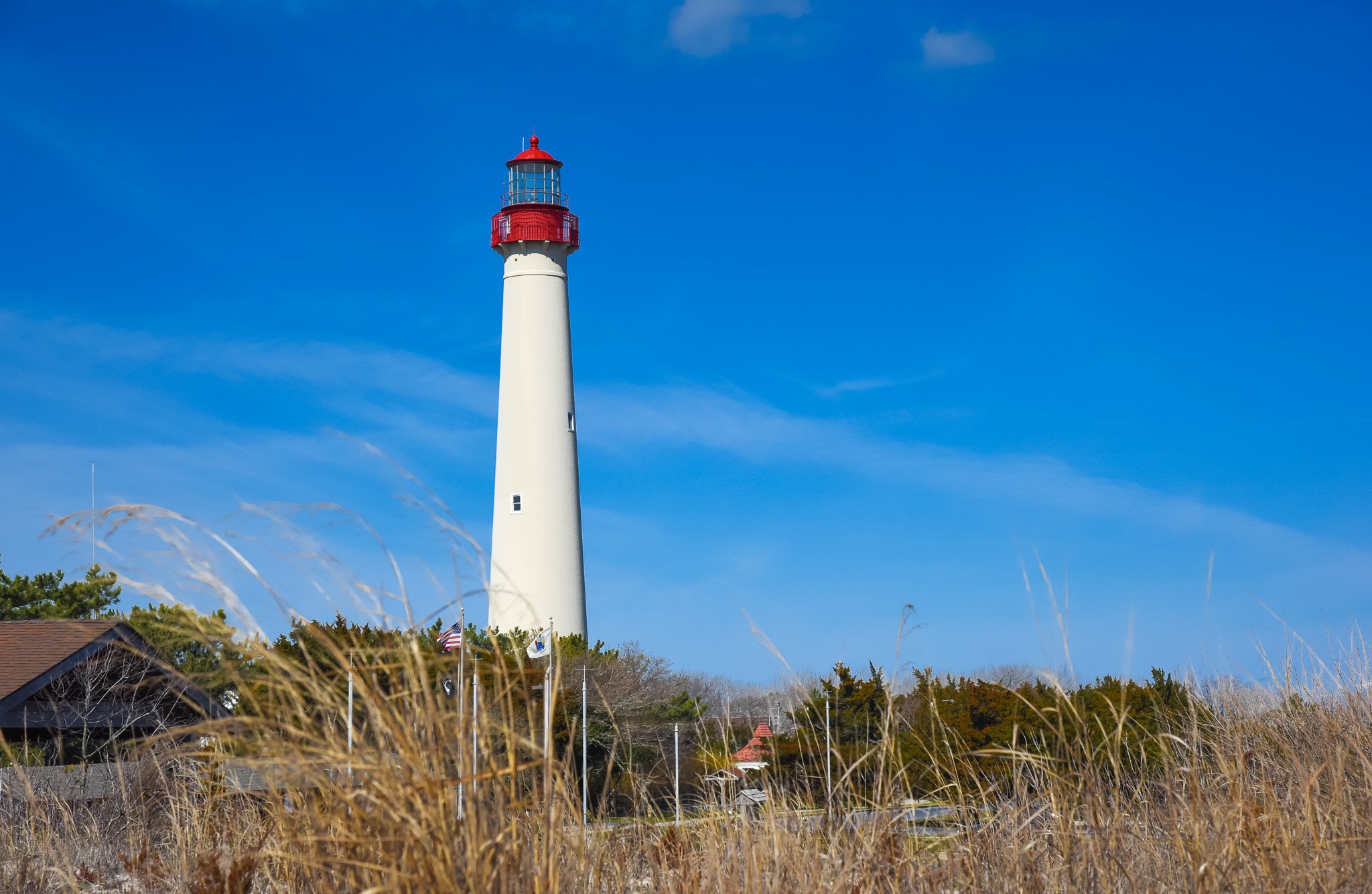 cape may lighthouse tours