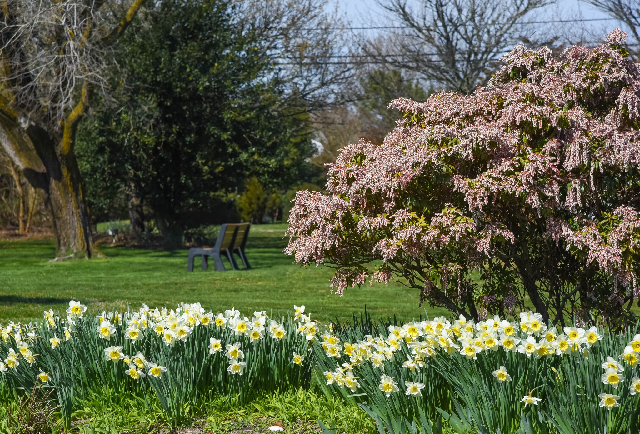 Looking Like Spring