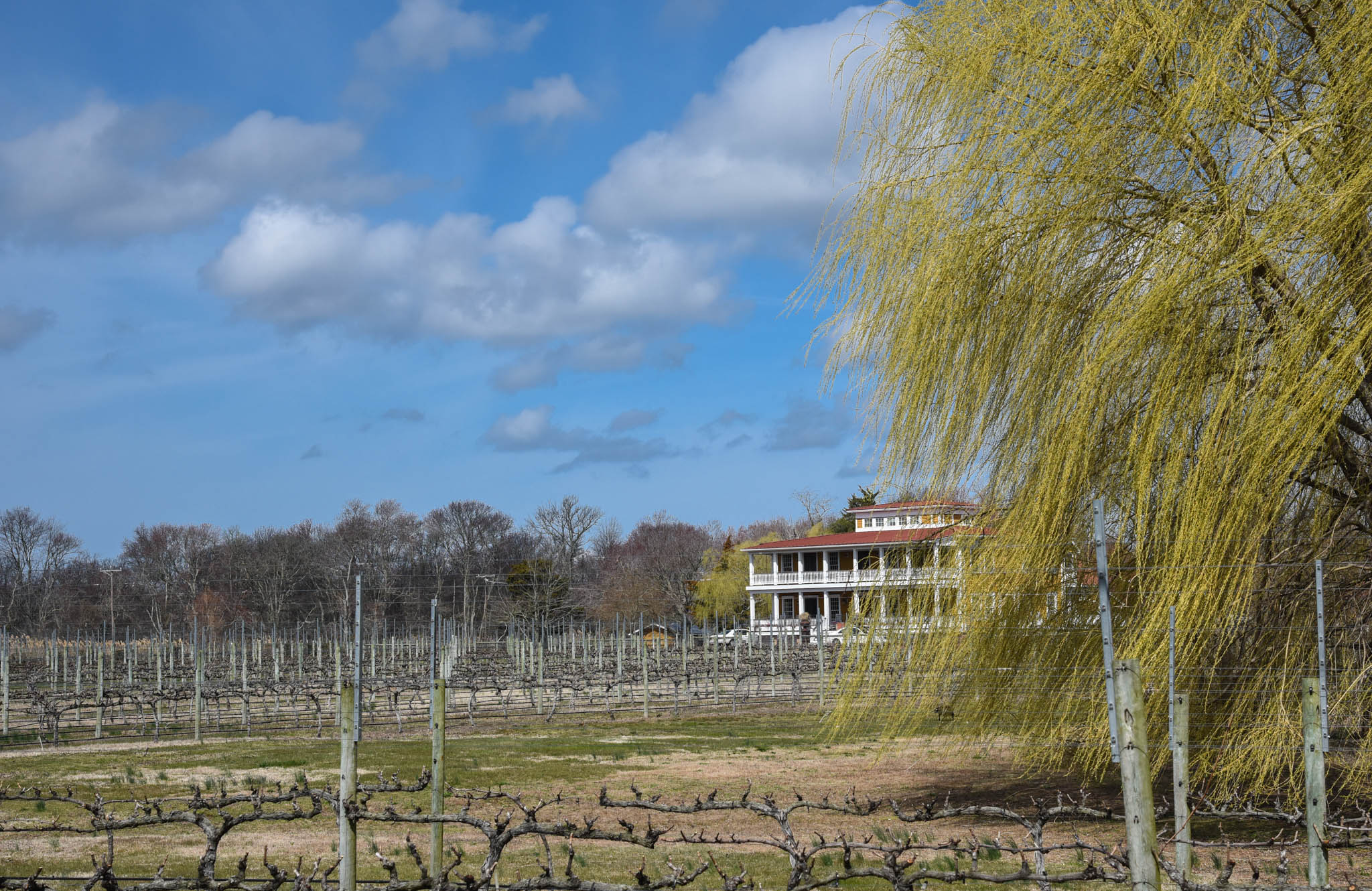 Willow Creek Winery