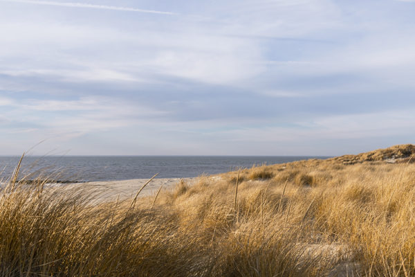 Taking a Breath on the Dunes