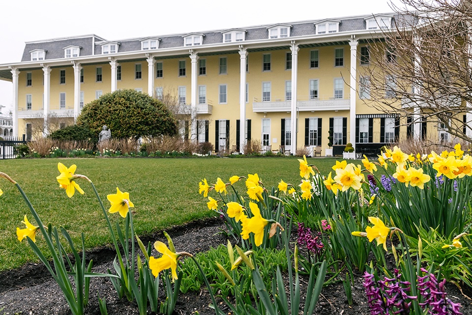 The Flowers Still Bloom Cape May Picture of the Day