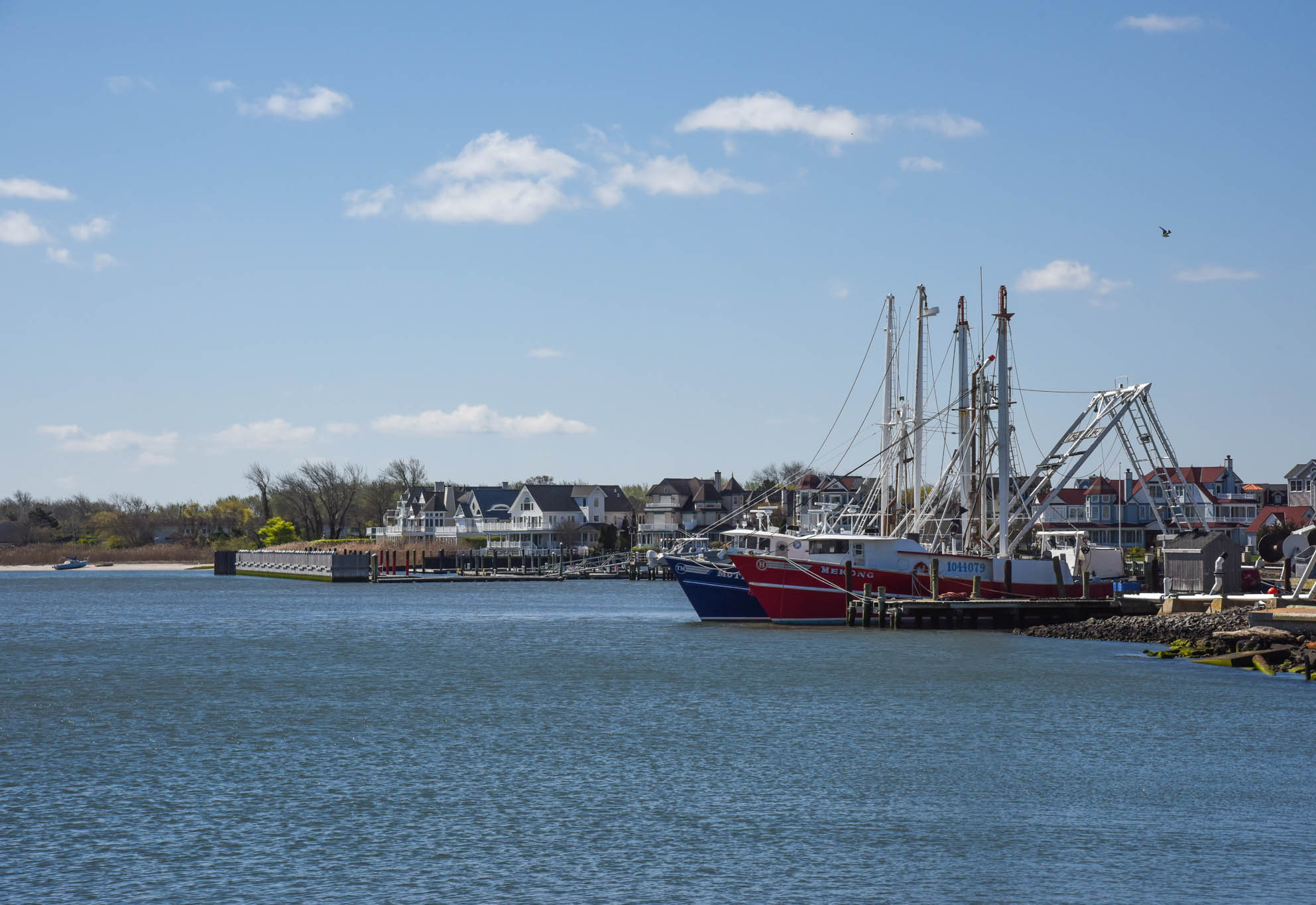 Cape May Harbor