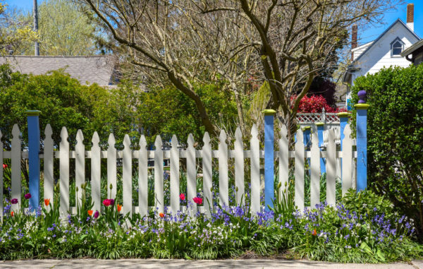 Spring Flowers