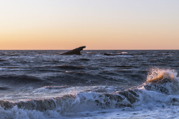 Splashing at Sunset