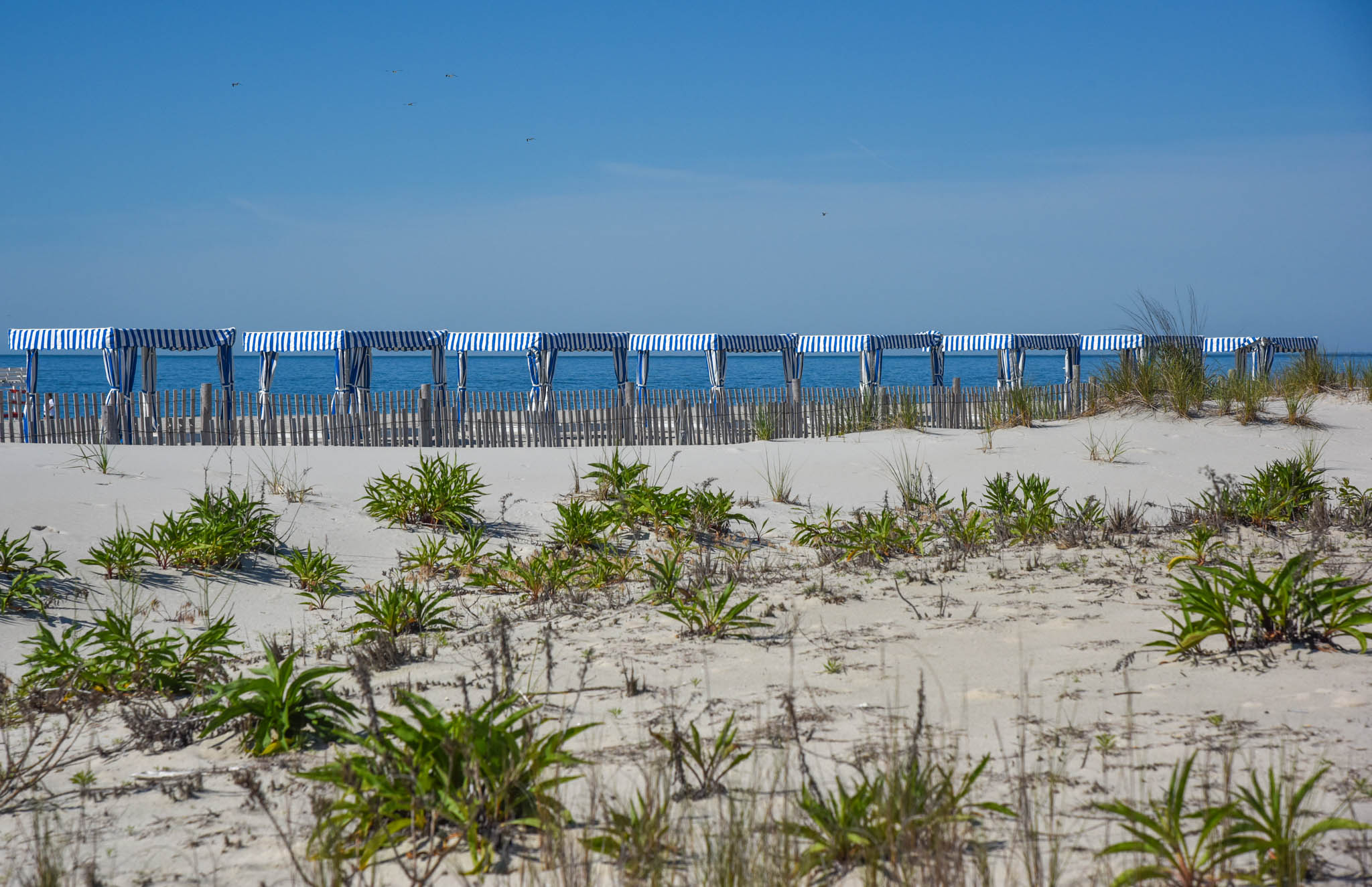 Dune View