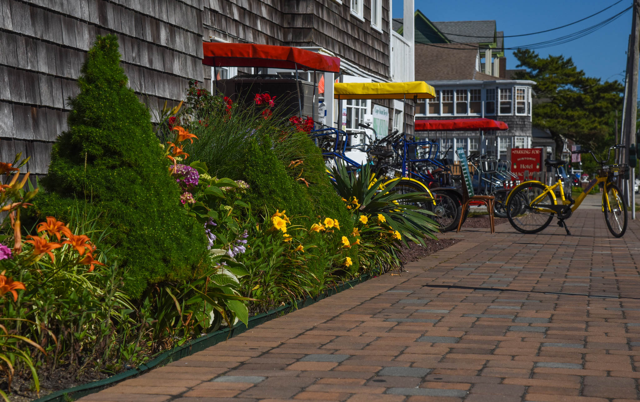 Flowers & Bicycles