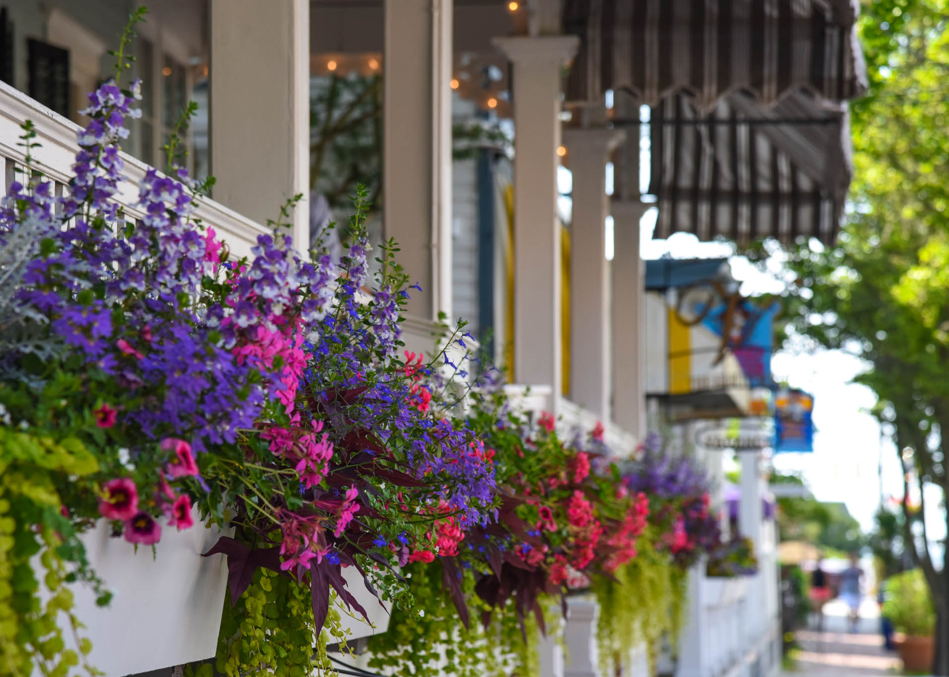 Flowers Along The Virginia Hotel