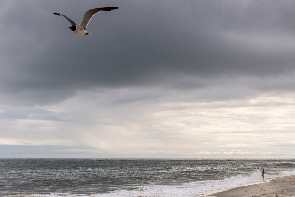 Cloudy day shot on the beach with a seagull flying and someone swimming in the distance