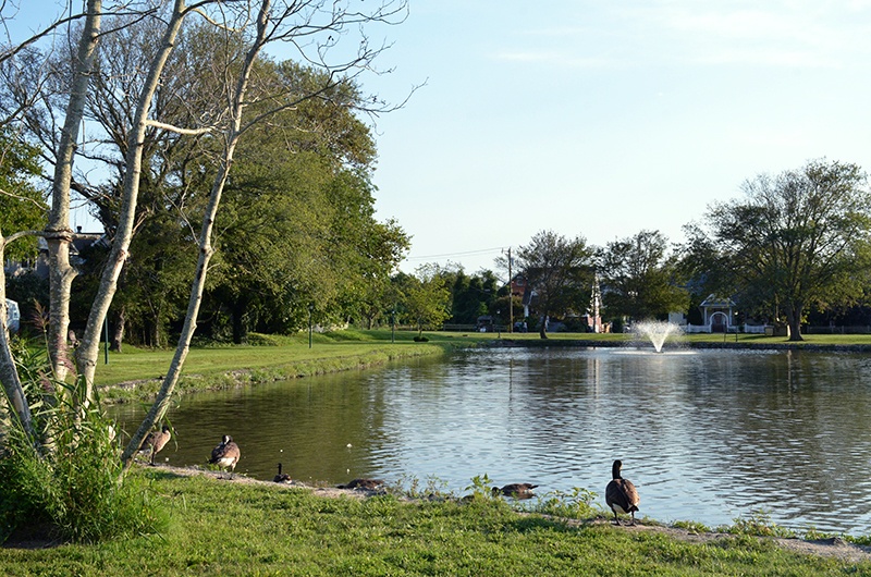 Kiwanis Park from the tennis club