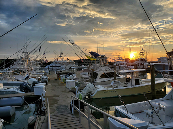 Cape May harbor at dawn