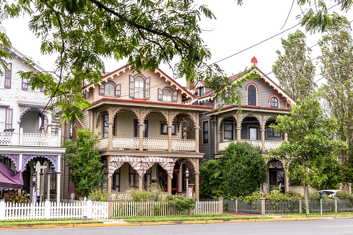 A view of Victorian houses through green leaves