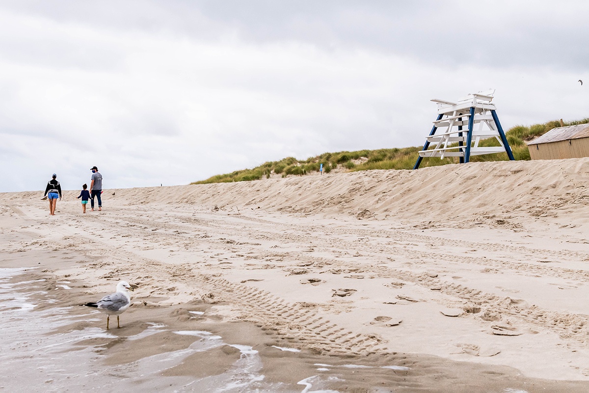 A family walking on the beach by the ocean on a cloudy day with a lifeguard stand in the background and a seagull by the water